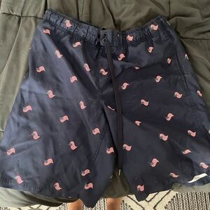 Men’s Swimsuit